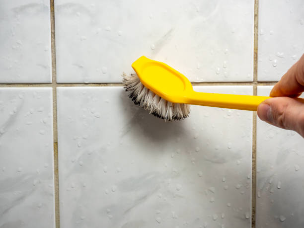 Best Kitchen Mold Remediation in Centerville, CA